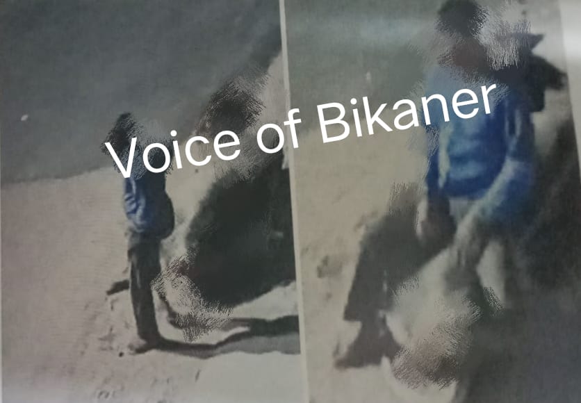 बीकानेर :इंसानियत शर्मसार, गाय से दुष्कर्म का मामला सामने आया, सीसीटीवी में कैद हुई वारदात