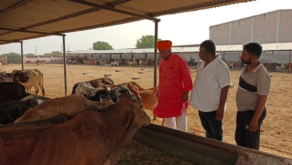 विधायक जेठानंद व्यास का कांजी हाउस दौरा, व्यवस्थाओं में सुधार देख जताया संतोष