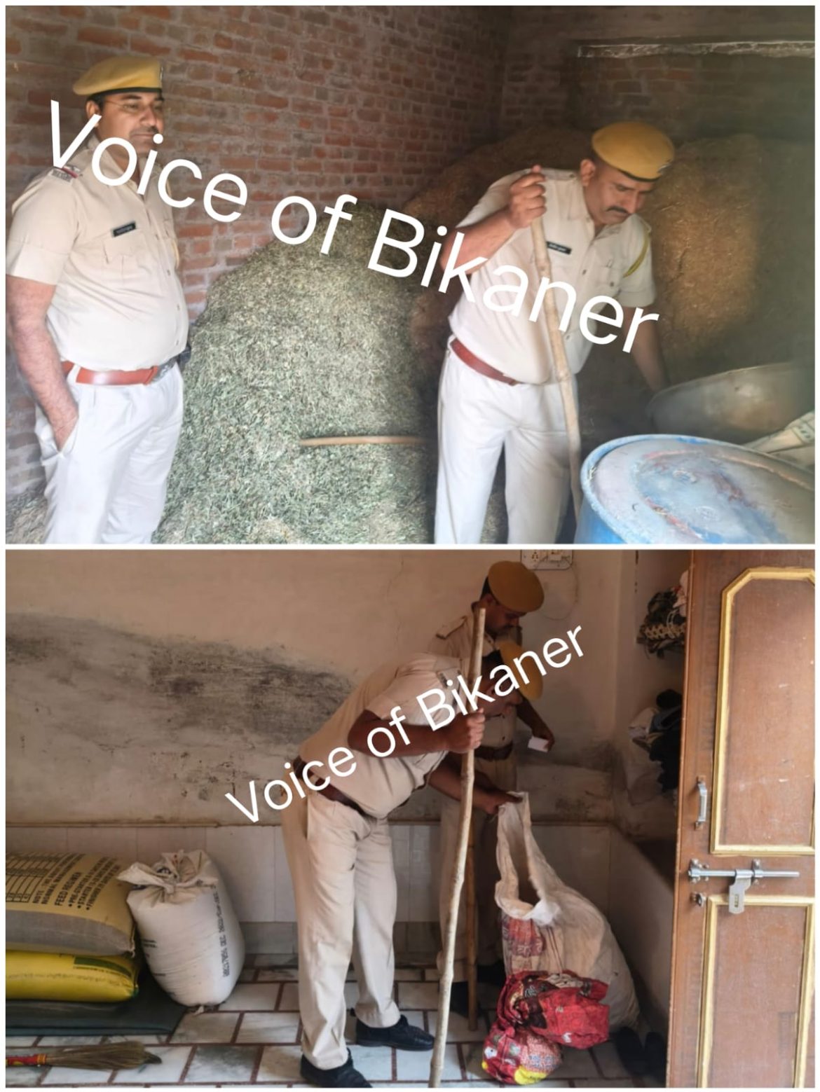 बीकानेर: नयाशहर क्षेत्र में अलसुबह चला सर्च ऑपरेशन,चार गिरफ्तार, एमडी व नकदी बरामद