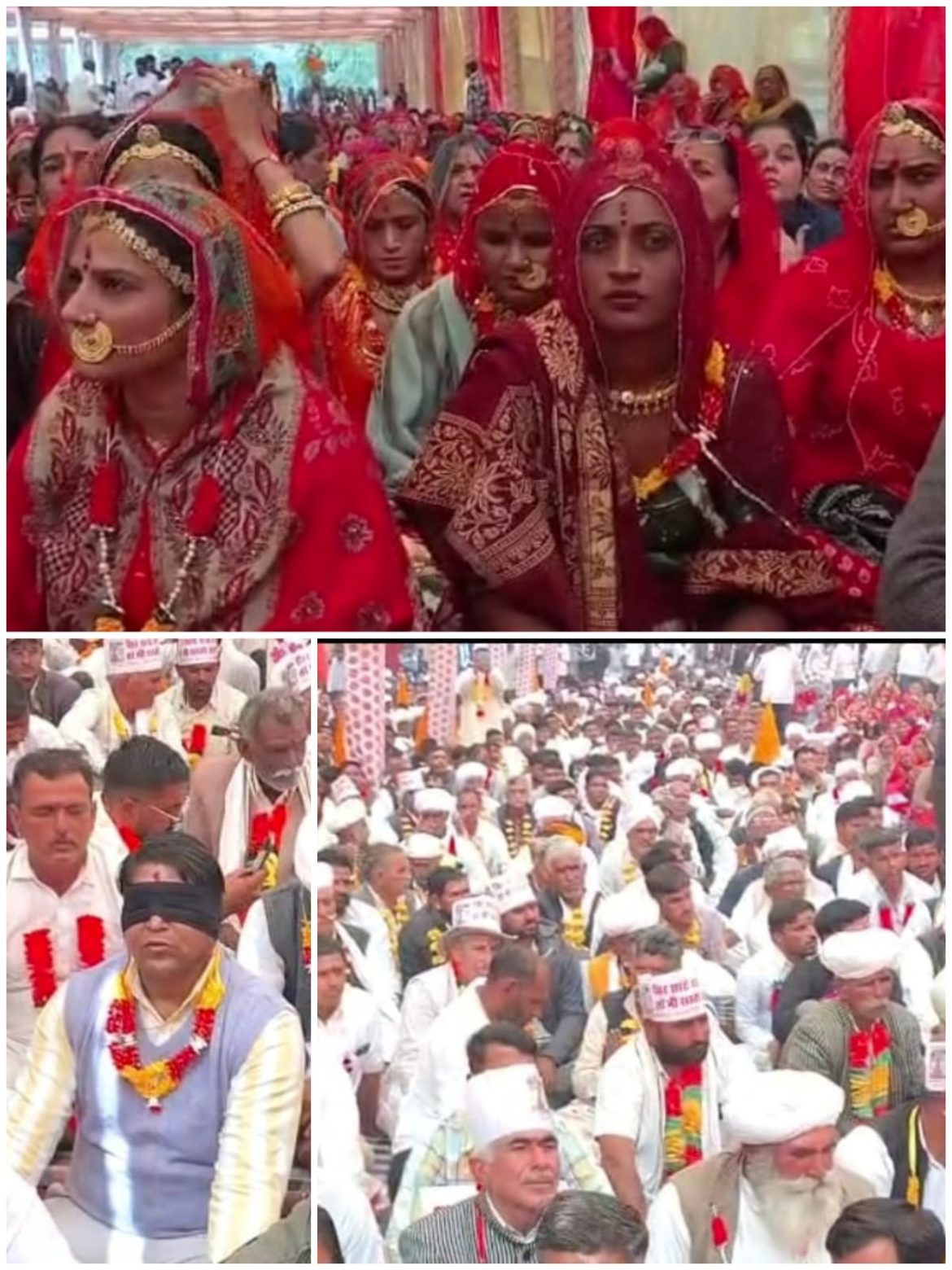 बीकानेर: सिर साठे रूंख रहे तो भी सस्तो जाण…..सोलर की आड़ में कटती खेजड़ी,बीकानेर से उठा पर्यावरण बचाने का बड़ा आंदोलन