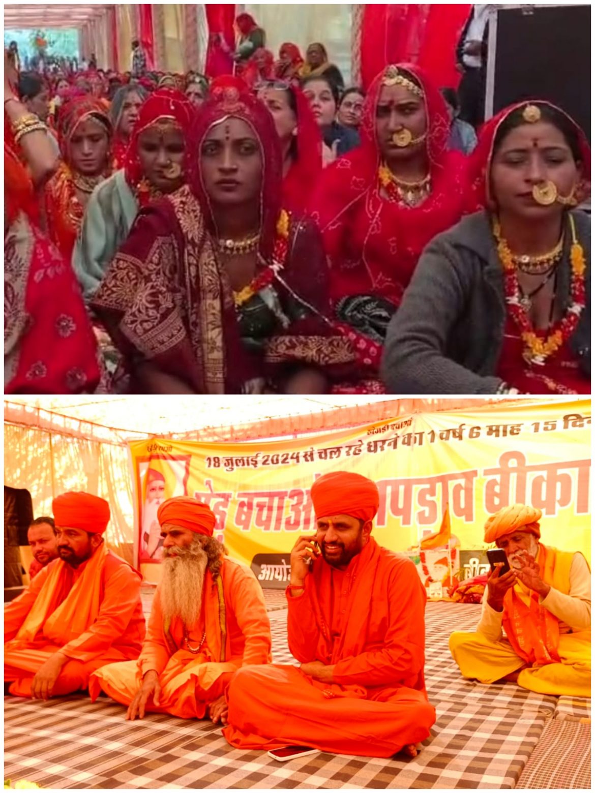 बीकानेर: खेजड़ी बचाओ महापड़ाव में आज हो सकता है बड़ा फैसला