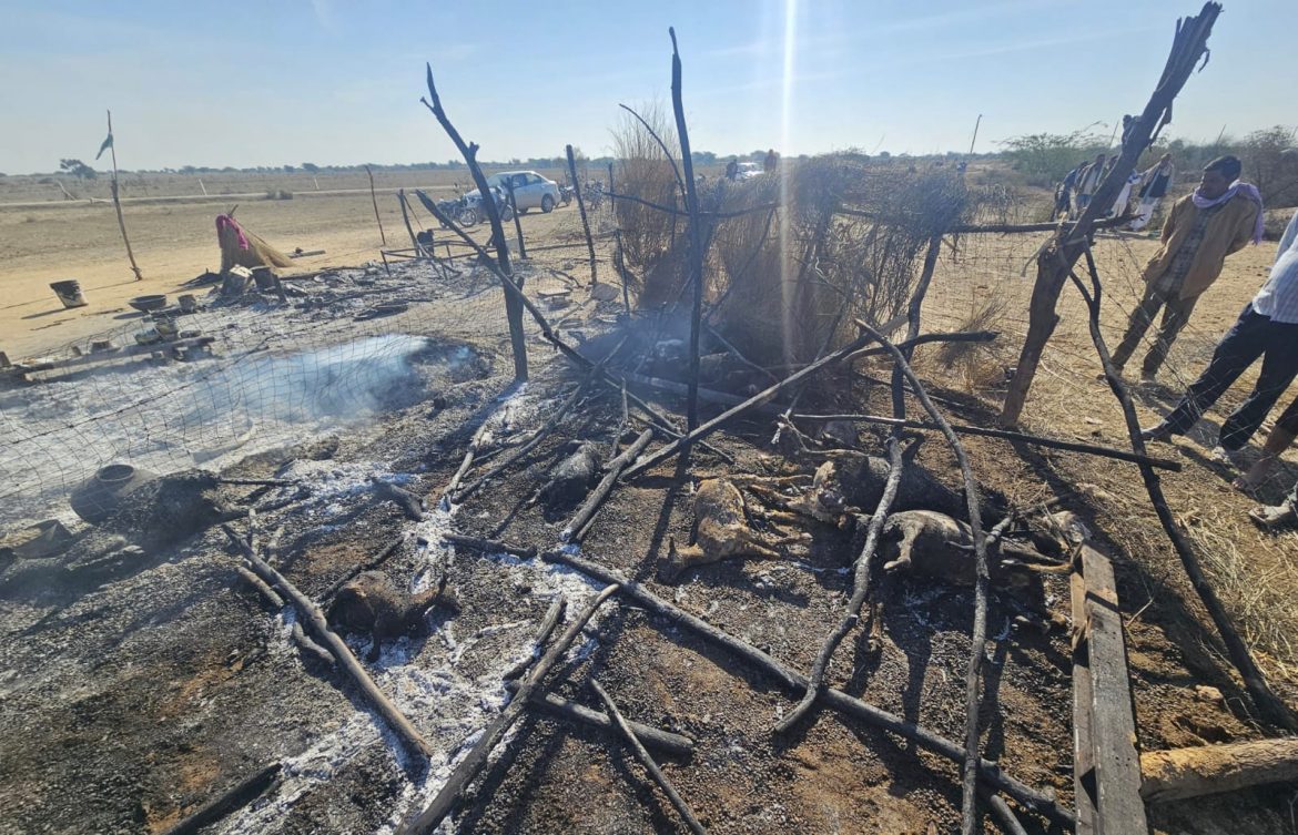 बीकानेर:चिमनी से लगी आग ने उजाड़ा आशियाना, 23 बकरियां व 5 भेड़ें जलीं, झोपड़ी-बाड़ा राख