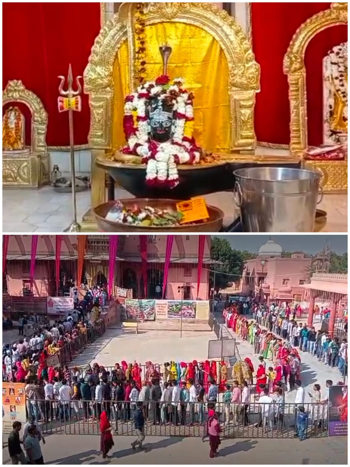 हर-हर महादेव के जयघोष से गूंजा बीकानेर, महाशिवरात्रि पर शिवालयों में उमड़ा आस्था का सैलाब