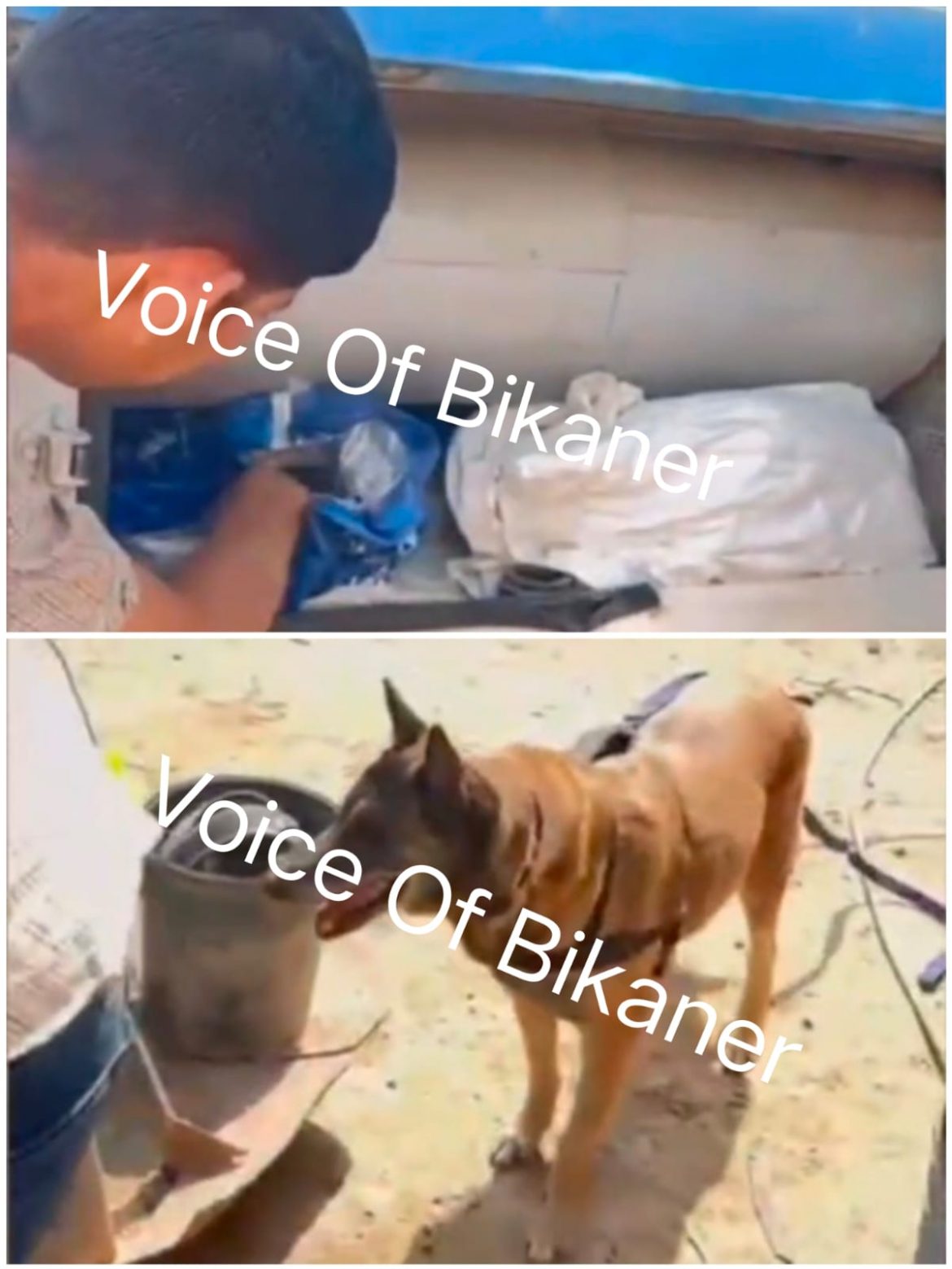 बीकानेर :डॉग ने पकड़वाया जनरेटर में रखा नशे का जखीरा, 20 किलो से ज्यादा डोडा-पोस्त जब्त,आरोपी गिरफ्तार