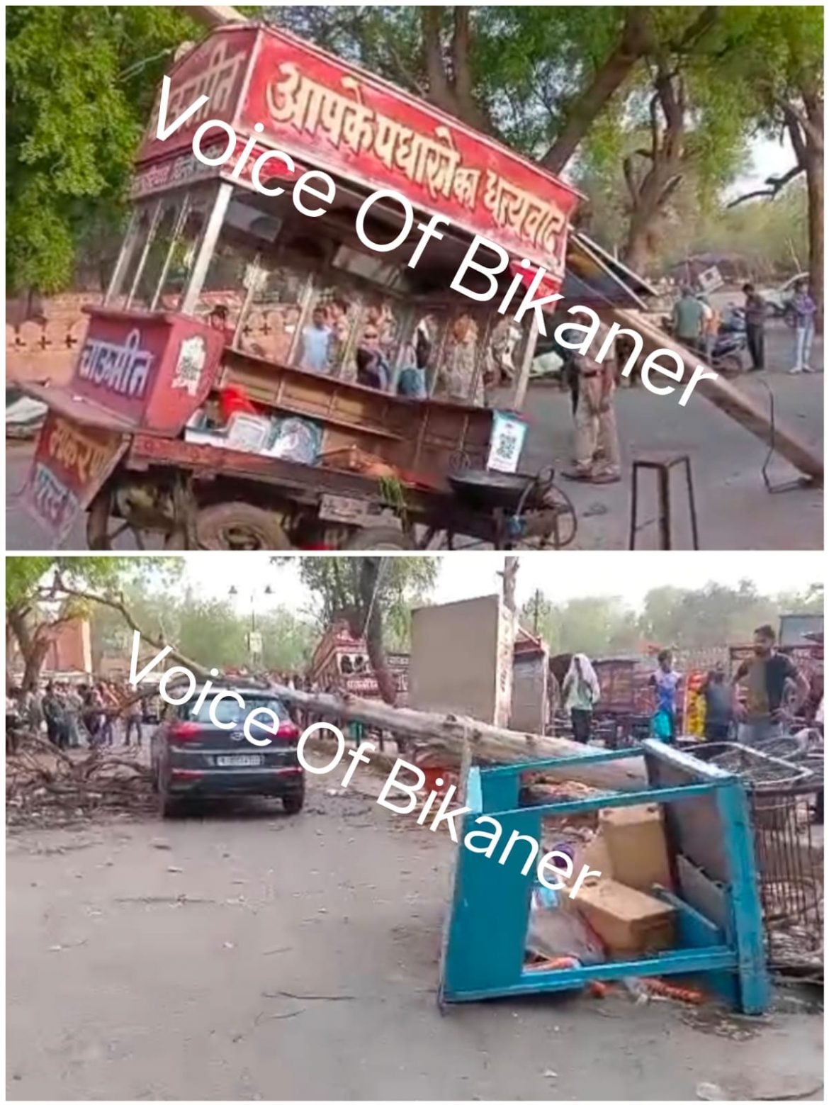 बीकानेर : अंधड़ का कहर,कलेक्ट्रेट परिसर में चलती कार पर गिरा पेड़,  बड़ा हादसा टला