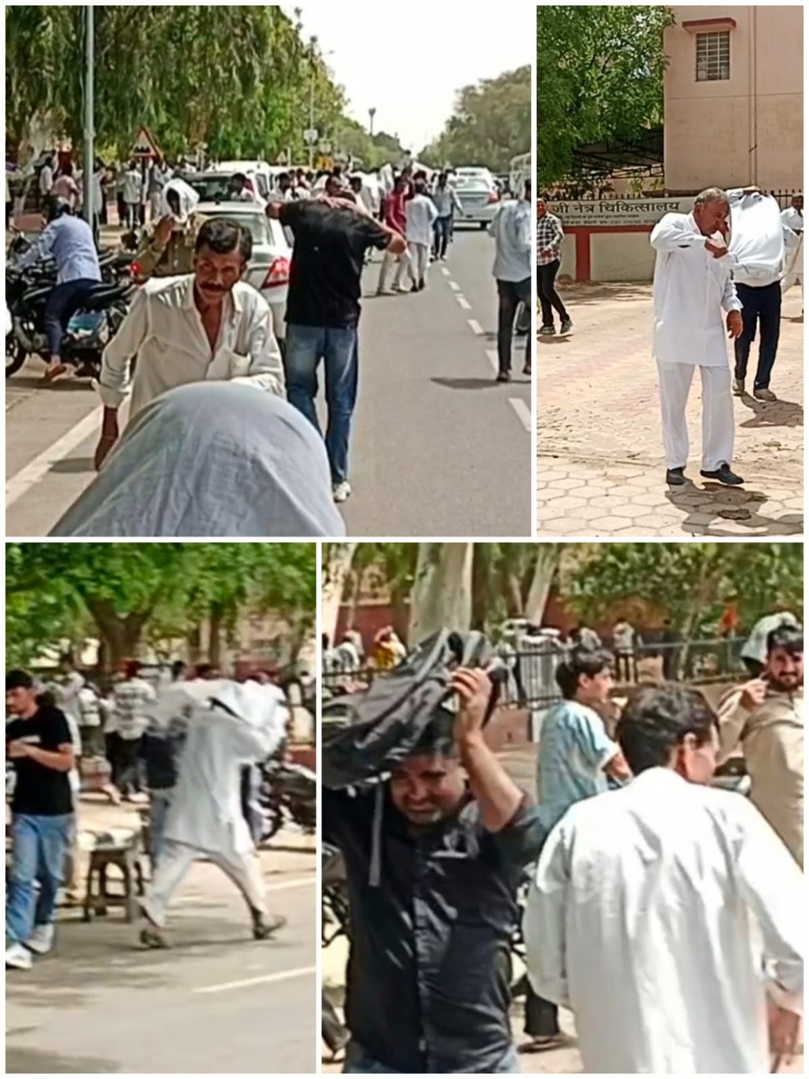 बीकानेर: वीडियो विवाद के बीच मधुमक्खी अटैक! गांधी पार्क से भागे कार्यकर्ता, कलेक्ट्रेट पर फूटा गुस्सा