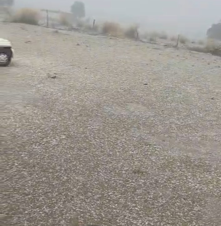 बीकानेर: 20 मिनट की ओलावृष्टि ने उजाड़े सपने, ओलों की सफेद चादर के नीचे दफन हुई किसानों की उम्मीदें