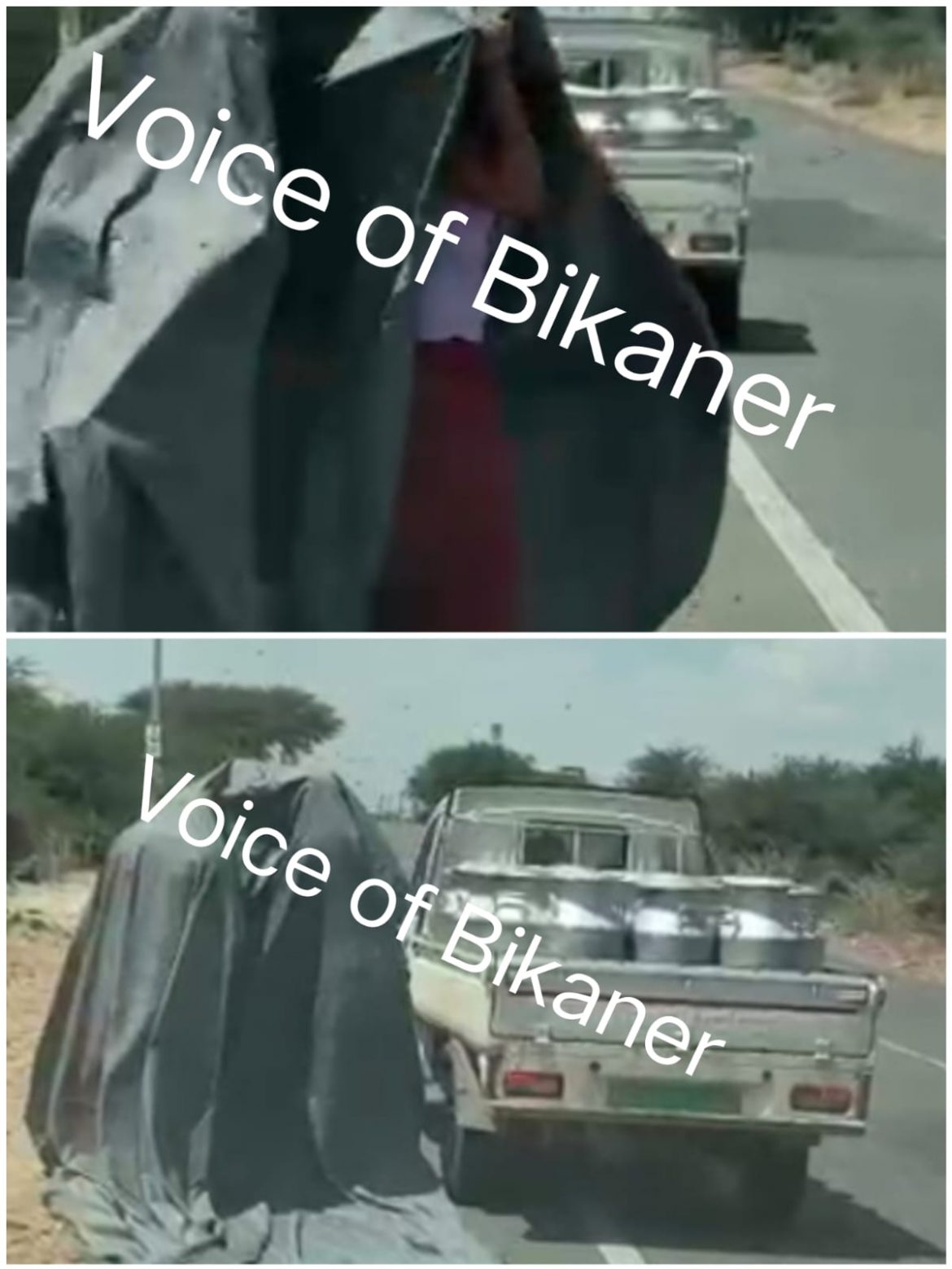 बीकानेर: हाईवे पर मधुमक्खियों का अटैक, पिकअप चालक बना फरिश्ता,तिरपाल ने बचाई जान