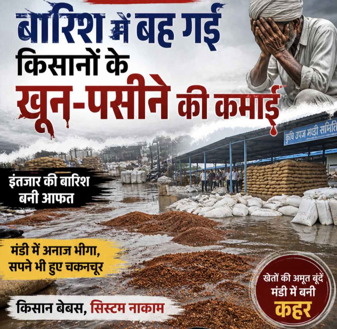 बीकानेर: बारिश में बह गई किसानों के खून-पसीने की कमाई,मंडी  सिस्टम की मार झेलता किसान